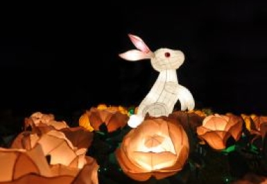 Khám phá phong tục đón Tết Trung thu ở Trung Quốc