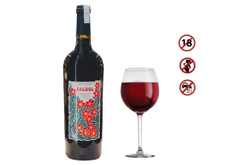 Rượu Vang Đỏ Ý Dalziel Primitivo